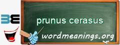 WordMeaning blackboard for prunus cerasus